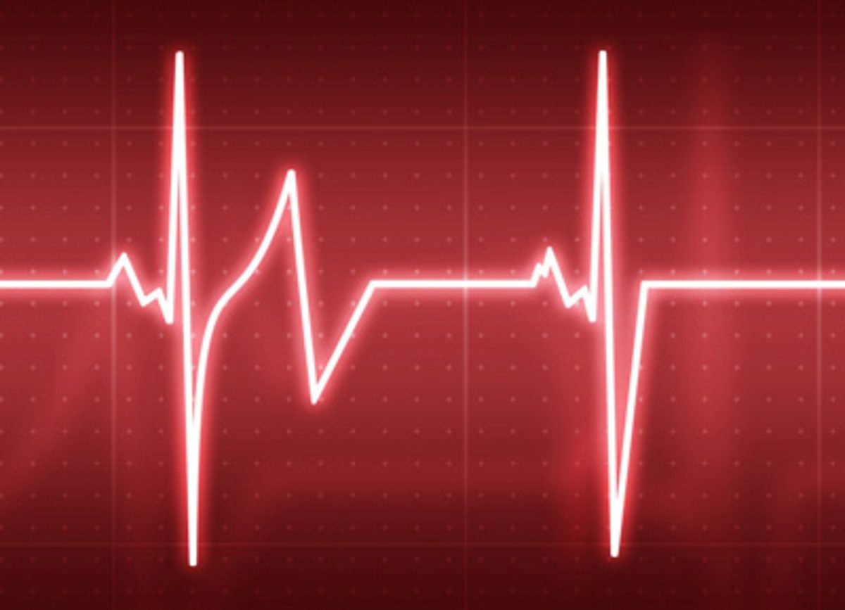 csm_heart_beat_web_6544c4e028